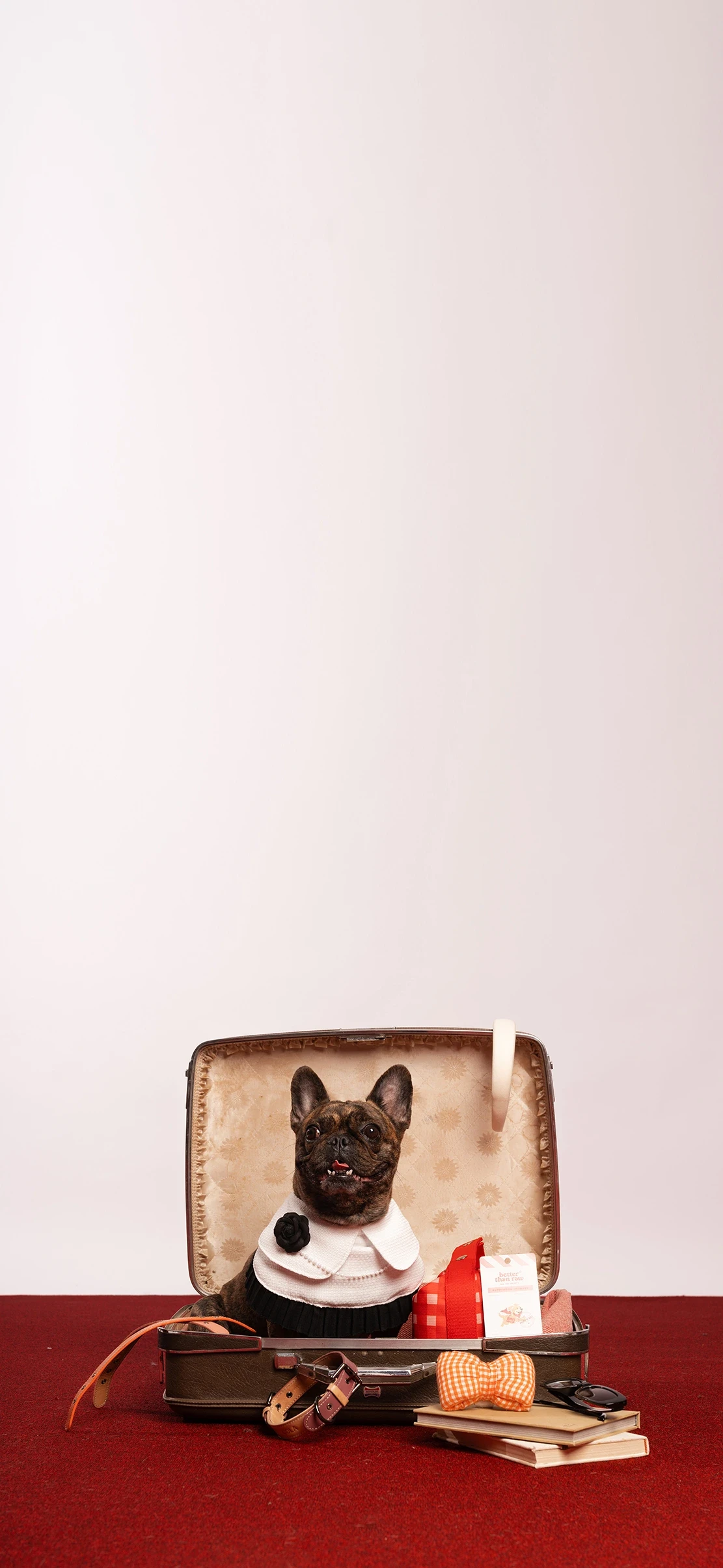 Ingredients Banner